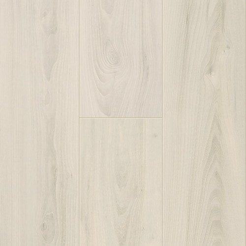 MAGNOLIA ELM 1